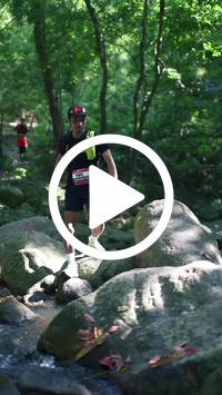 BIB:  <button type="button" onclick="openModal(28052969)" class="btn btn-primary btn-sm float-right" data-toggle="modal" data-target=".modal-high-quality">
                <i class="fa fa-download"></i> Download
                </button>